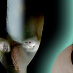 Gray Alien Named ‘Sen’: Californian Woman Encounter Case By MUFON Researcher